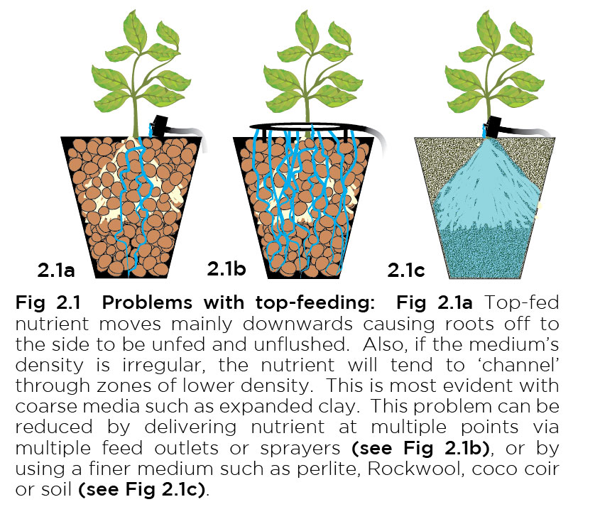 Feed plant. Plant Feed разница. Feeding Plants nutrients. Controling nutrients for Plants. Feeding Plants nutrients in a wrong way.